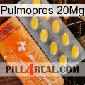 Pulmopres 20Mg new05